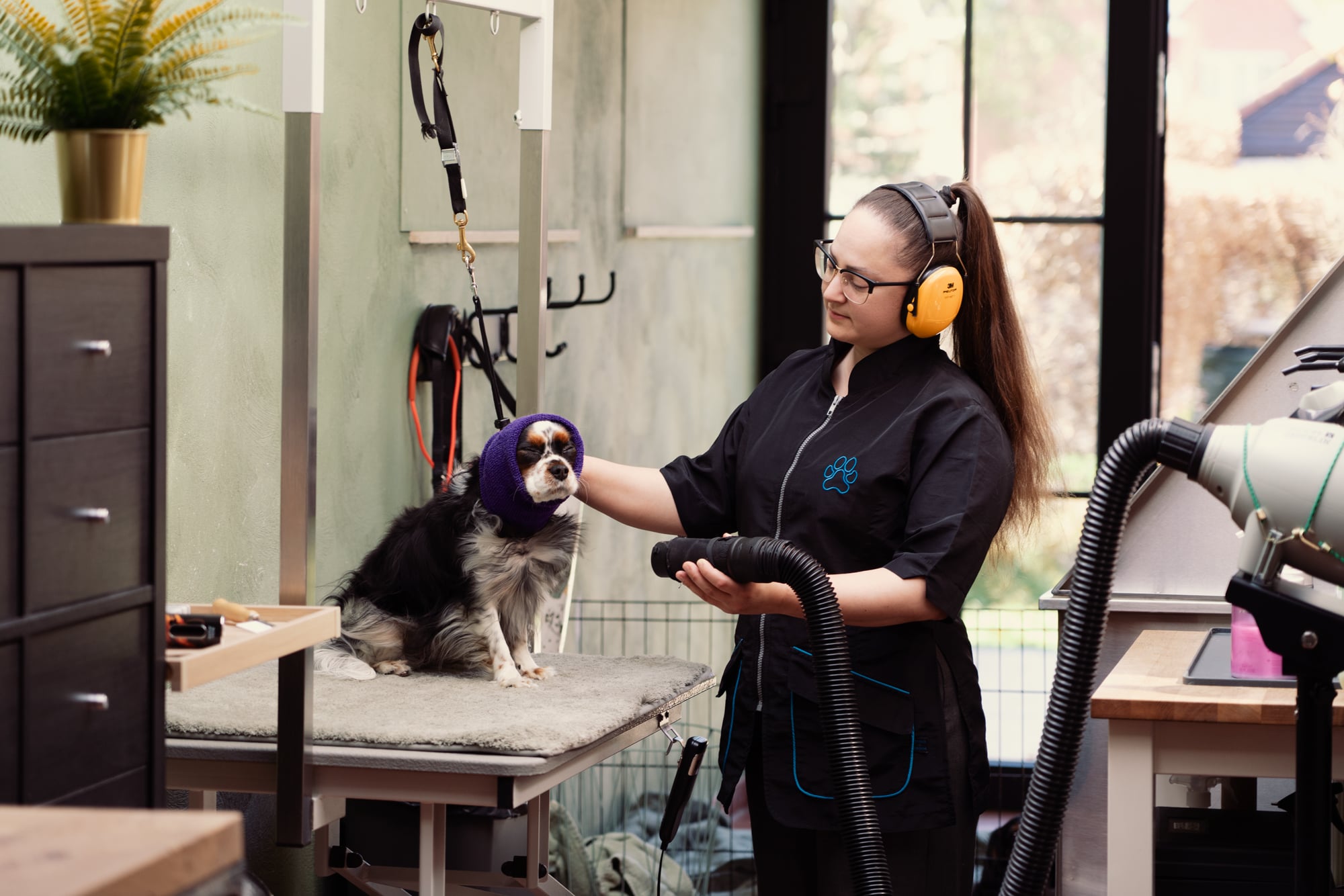 Hondentrimster Ramona is een hondje aan het verzorgen